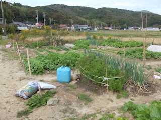 石巻ふれあい市民農園